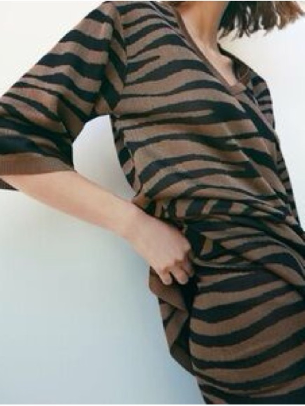 Zara Brown and Black Zebra-Print V-Neck Short-Sleeve Tunic and Pant full Set